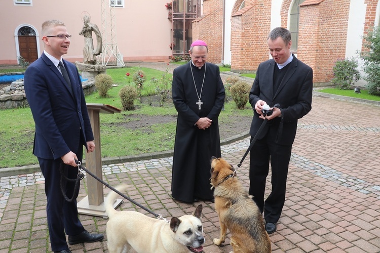 Błogosławieństwo zwierząt w GSD