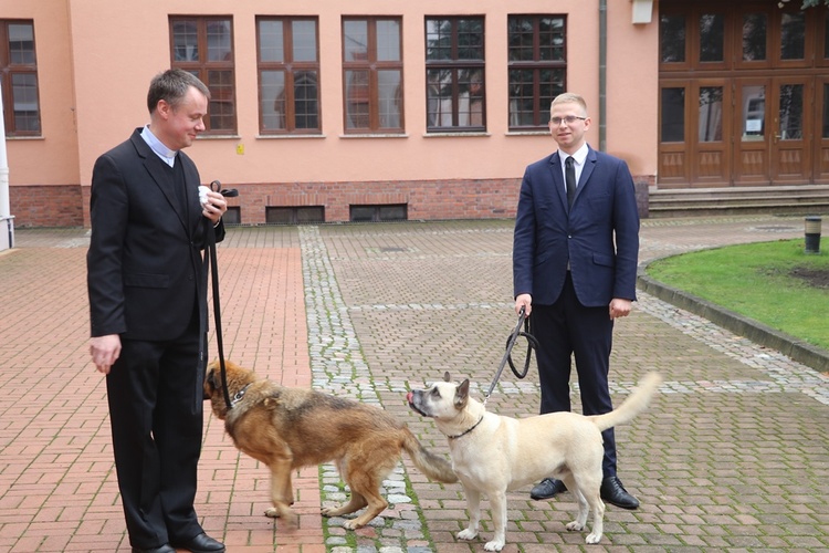 Błogosławieństwo zwierząt w GSD