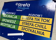 Festiwal "Strefa Młodych"