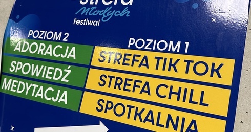 Festiwal "Strefa Młodych"