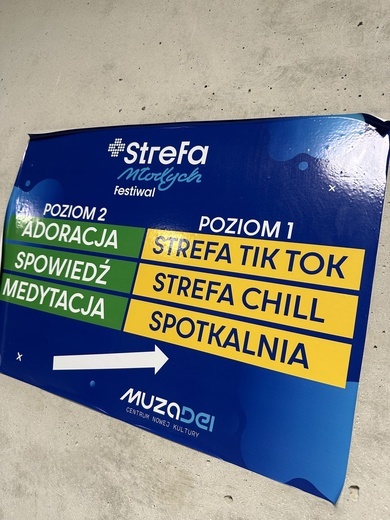 Festiwal "Strefa Młodych"