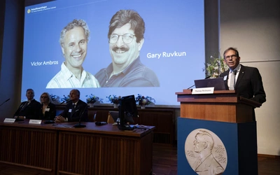 Nobel z medycyny i fizjologii: mikroRNA i jego rola