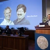 Nobel z medycyny i fizjologii: mikroRNA i jego rola