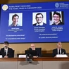 Nobel z chemii za stworzenie nowych białek i przewidywanie struktury białek
