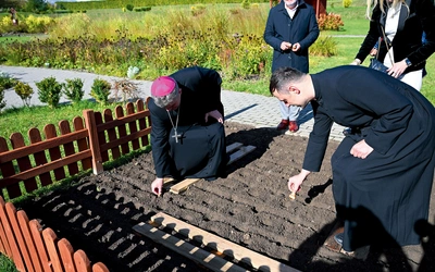 	Bp Zbigniew Zieliński i ks. Łukasz Bikun, dyrektor Caritas diecezjalnej, sadzą żonkile.