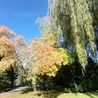 Barwy jesieni