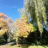 Barwy jesieni