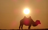 Mongolia