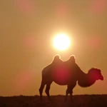 Mongolia