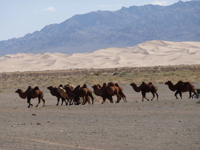 Mongolia