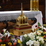 Odpust ku czci bł. Wincentego Kadłubka