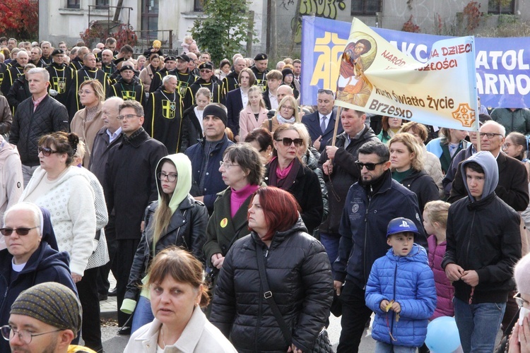 Dębica. Diecezjalny Marsz dla Życia i Rodziny 2024