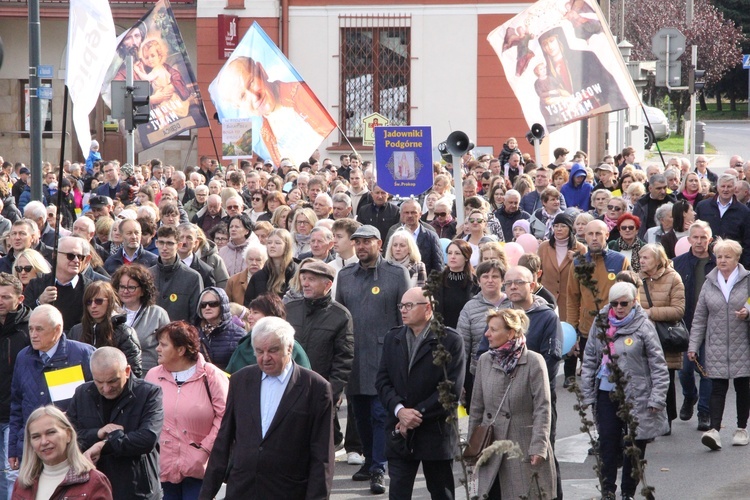 Dębica. Diecezjalny Marsz dla Życia i Rodziny 2024