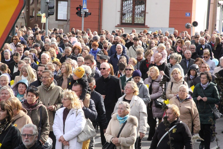 Dębica. Diecezjalny Marsz dla Życia i Rodziny 2024