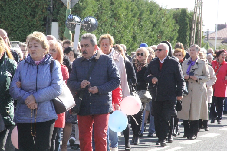 Dębica. Diecezjalny Marsz dla Życia i Rodziny 2024