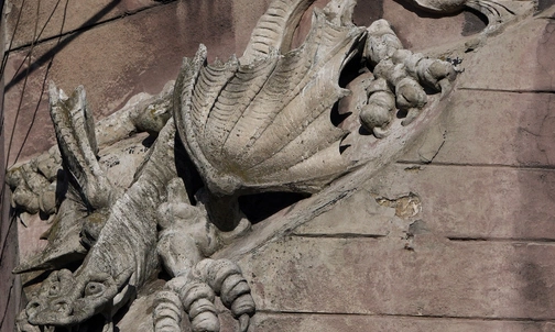 Spotkania z przyrodą: Od smoka do gołębia