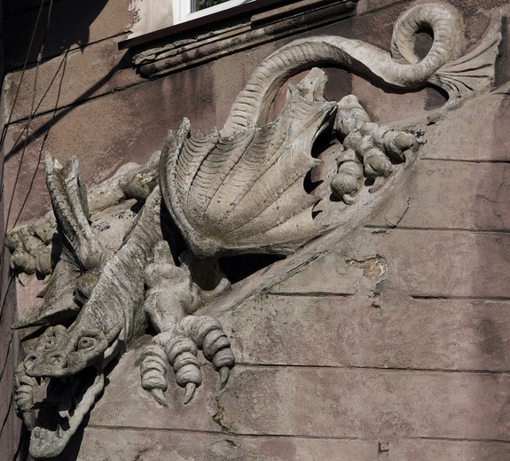 Spotkania z przyrodą: Od smoka do gołębia