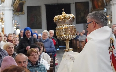 Pielgrzymka chorych do grobu św. Jadwigi Śl.