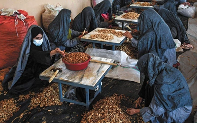 Afganistan pod rządami brodaczy
