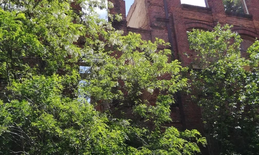 Spotkania z przyrodą: Współbrzmienie natury i sztuki