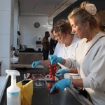 Łebski Uniwersytet Ludowy