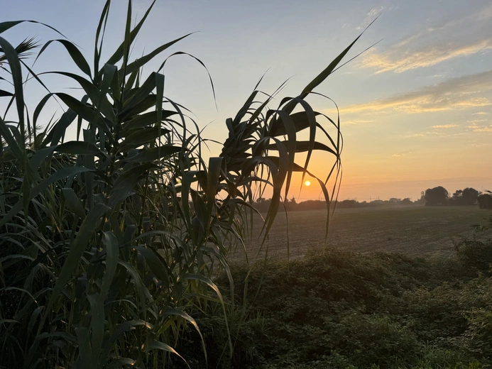 Pielgrzymka Włodzimierza Oleksego z Powroźnika do Pompejów