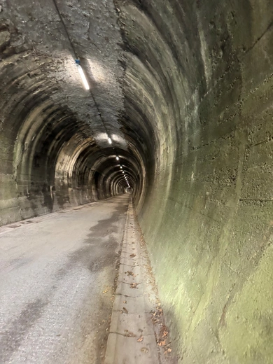 Pielgrzymka Włodzimierza Oleksego z Powroźnika do Pompejów