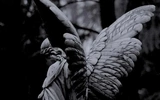 Mozartowskie Requiem na Dzień Wszystkich Świętych