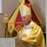 Pielgrzymka strażaków PSP i OSP u MB Miłosierdzia