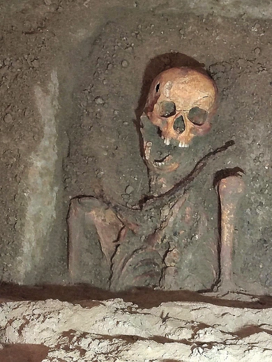 Przeciw wampirom. Odkrycie pod posadzką kościoła