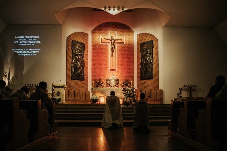Holy Wins 2024
