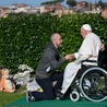 Papież: odwiedzając cmentarz odnawiamy naszą wiarę w Chrystusa