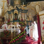 U św. Karola Boromeusza w Wołowie