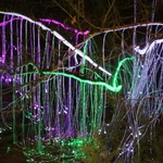 Lumina park
