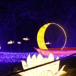 Lumina park
