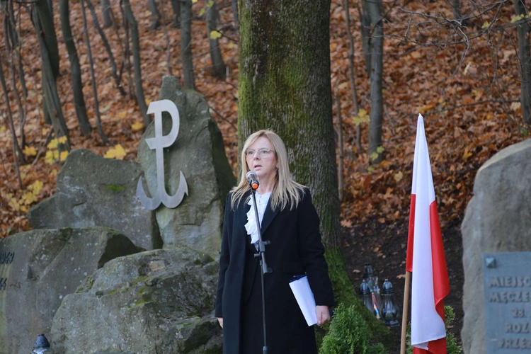 Spisana historia młodowska