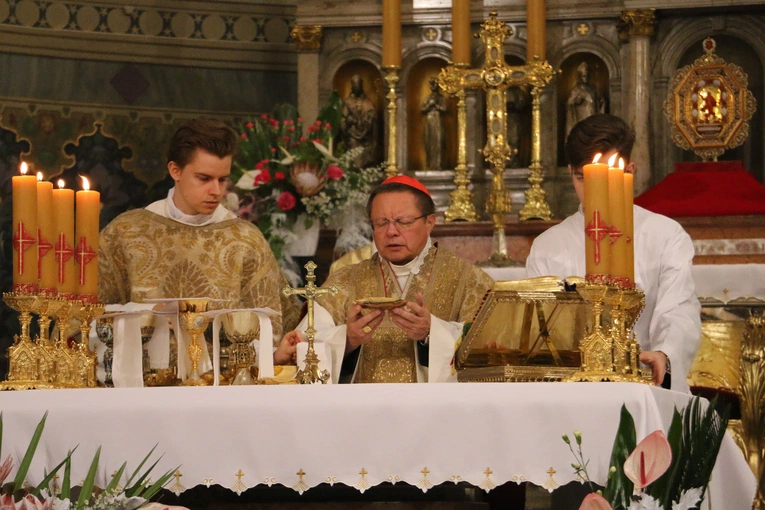 Płock. Inauguracja roku jubileuszowego. Część II