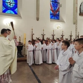 52 nowych lektorów