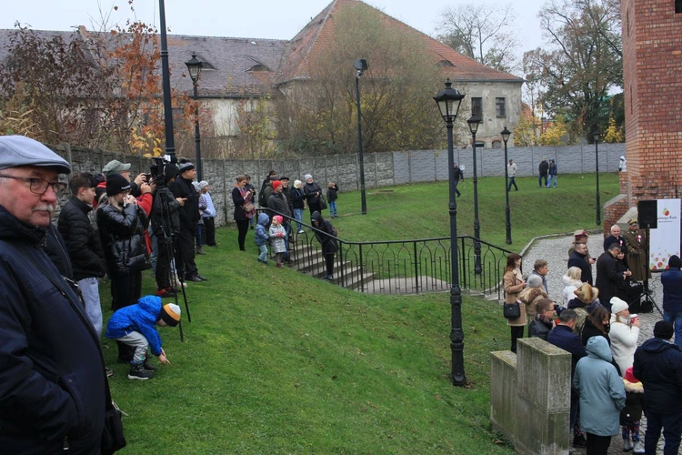 Defilada i prezentacja Kawalerzystów Ochotniczego Szwadronu 3. Pułku Ułanów Śląskich w Kędzierzynie-Koźlu