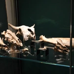 Narodziny królestwa