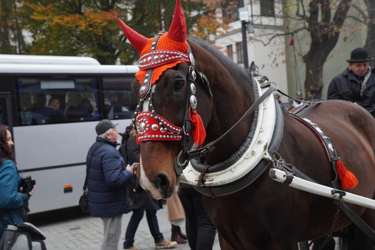 Radosna Parada Niepodległości we Wrocławiu