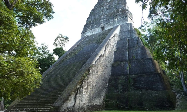 Piramida w Tikal
