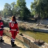 Jeden rok, który zmienia życie!