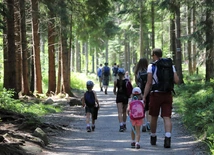 Rodzina drogą człowieka, Kościoła i społeczeństwa.