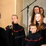 Ku czci św. Cecylii w Starych Budkowicach