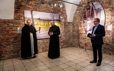 Fotografia - widok z bliska