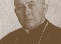 Wikariusz generalny z Cieszyna