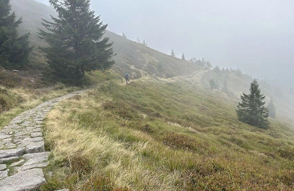 Na razie widzimy niejasno