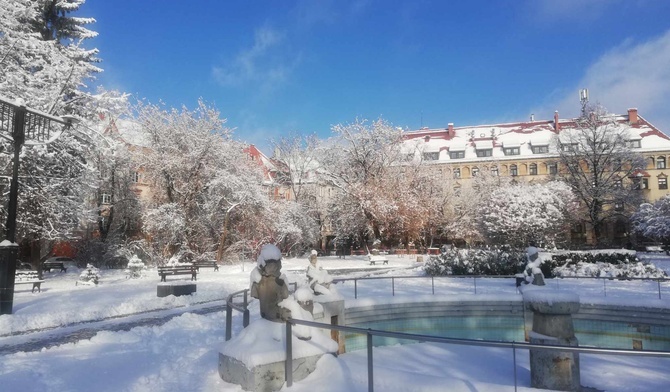 Spotkania z przyrodą: Jak w Narnii