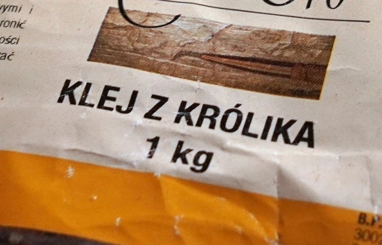 Renowacja organów katedralnych